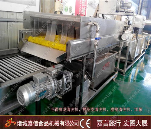 白菜氣泡清洗加工機(jī)一站式服務(wù)專業(yè)團(tuán)隊(duì)在線服務(wù)