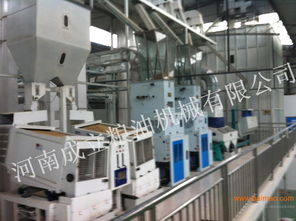 大米加工設備 成立機械提供整套加工工藝,大米加工設備 成立機械提供整套加工工藝生產廠家,大米加工設備 成立機械提供整套加工工藝價格